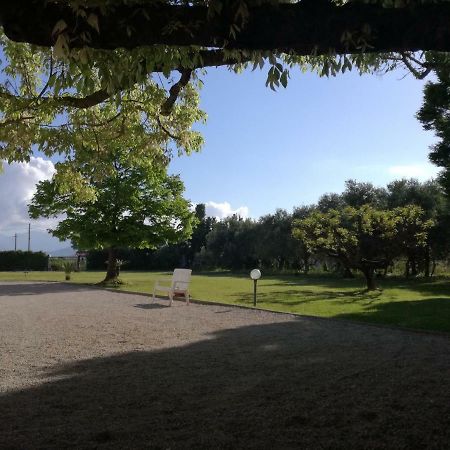 B&B Villa Napoli Battipaglia Exterior foto