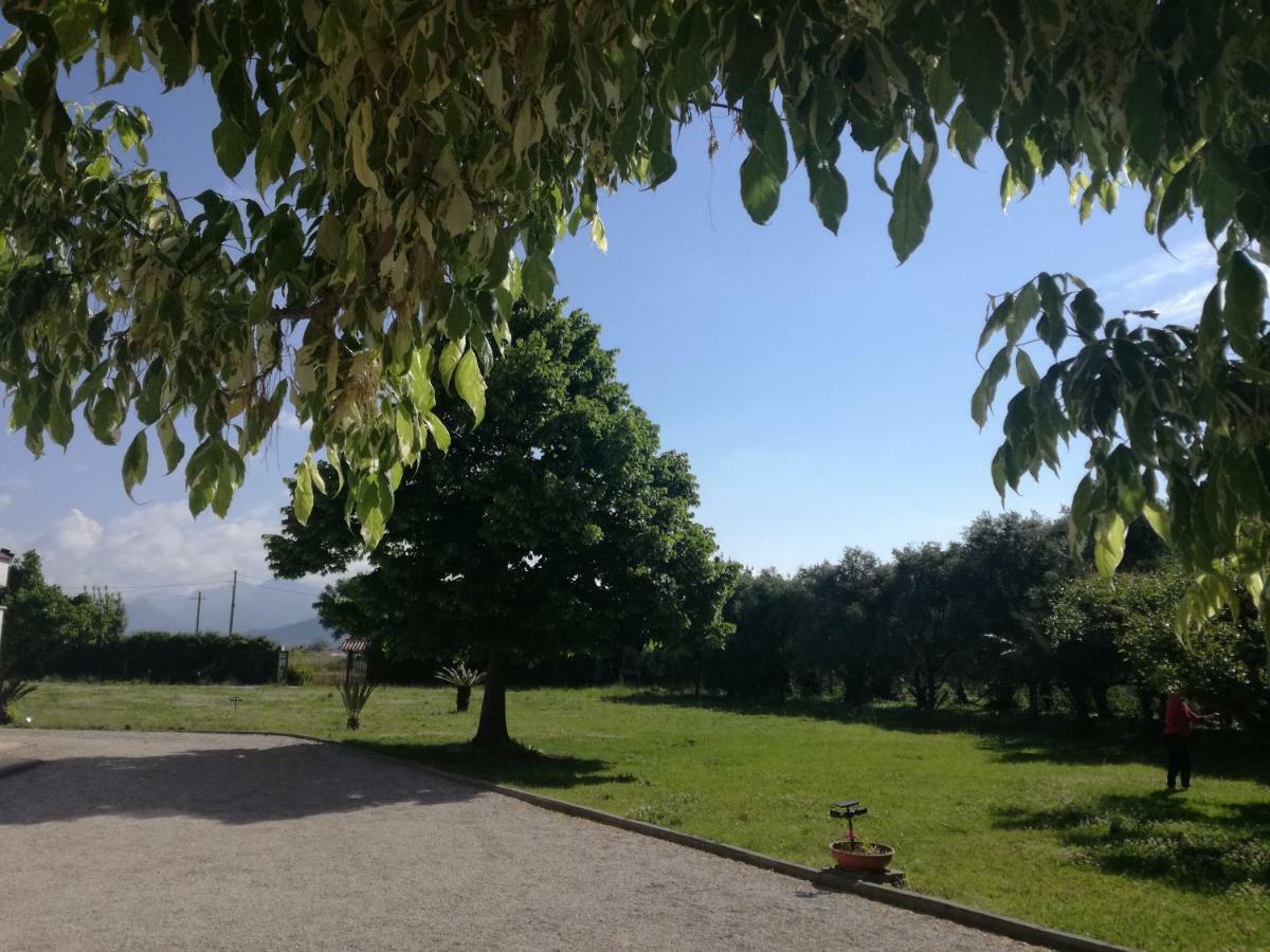 B&B Villa Napoli Battipaglia Exterior foto